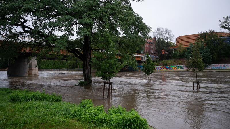 An der Stadtbrücke in Görlitz stehen Bäume im Hochwasser der Neiße.