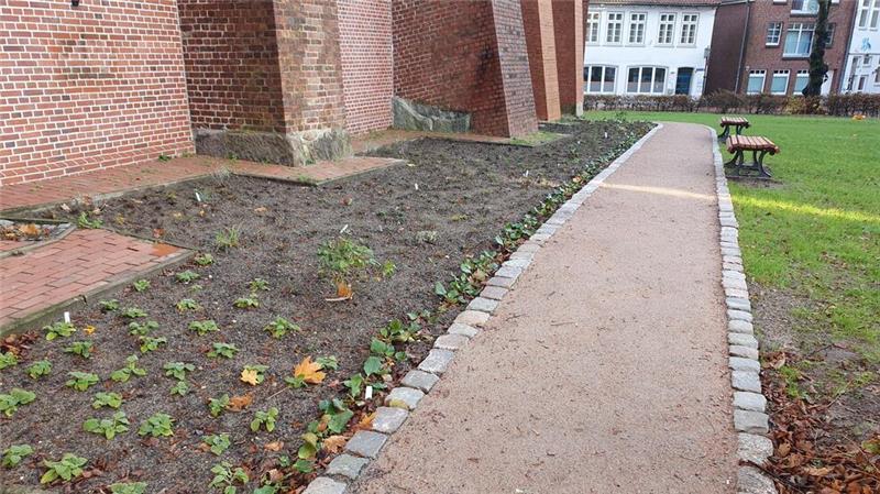 Wilhadi-Garten wird bei einem Dankeschön-Empfang eingeweiht An der Südseite der Kirche wurden ein Staudenbeet und ein Weg mit Bänken angelegt.