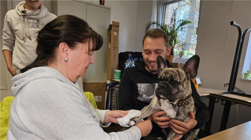 An der französischen Bulldogge „Buddy“ übt eine Kursteilnehmerin das Verbinden einer Pfote. 