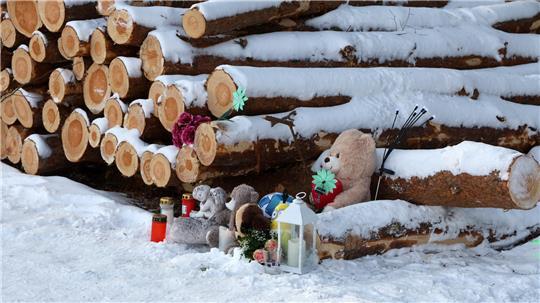 An diesem Holzstapel starb der 11-jährige Junge.