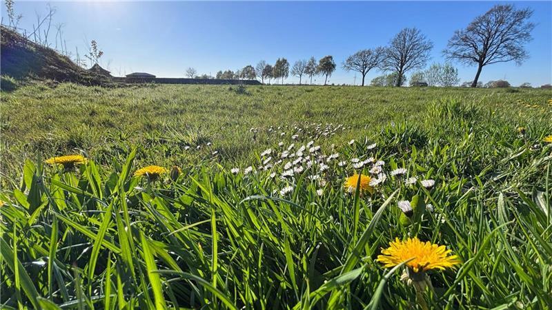 An diesem Standort soll sich zukünftig ein Nahversorger in Bargstedt ansiedeln.