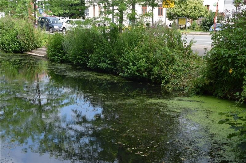 Todesfall des Radfahrers in Buxtehude bleibt rätselhaft An diesem Uferabschnitt ereignete sich der Unfall. Foto: Sulzyc
