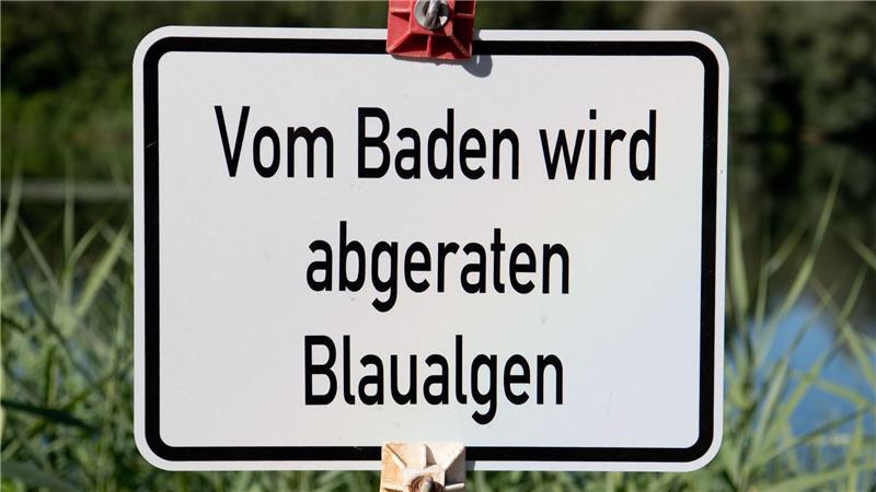 Wegen Blaualgen: Drei Badeseen in Niedersachsen gesperrt Warnschild, auf dem steht: Vom Baden wird abgeraten - Blaualgen