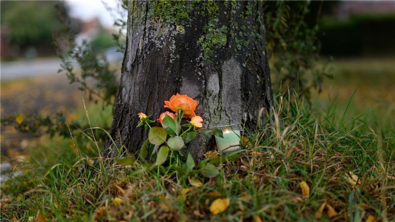 An einem Baum in der Nähe des Tatorts wurden Blumen abgelegt. 