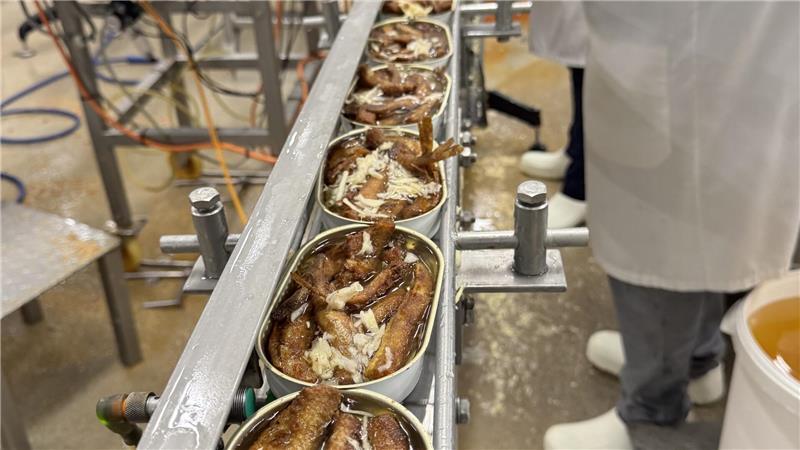 Cranz: Bei Fiete Kramer vom Gasthaus Zur Post kommt Stint in die Dose An einem geheimen Ort kommt der Stint in der Dose.