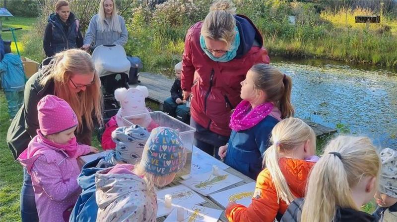 Beliebter Vogel-Beobachtungsspot in Gnarrenburg gesperrt
An fünf Forschungsstationen entdeckten Kita-Kinder in Bremervörde die Natur.