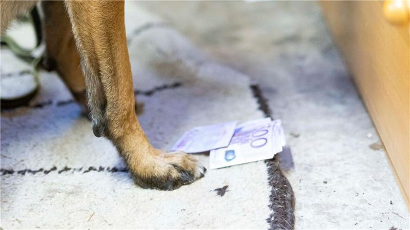 An vielen Geldscheinen sind Drogenreste - das hilft den Hunden beim Erschnüffeln.