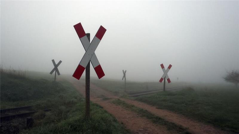 Andreaskreuze weisen an Bahnübergängen darauf hin, dass Züge immer Vorfahrt haben. (Symbolbild)