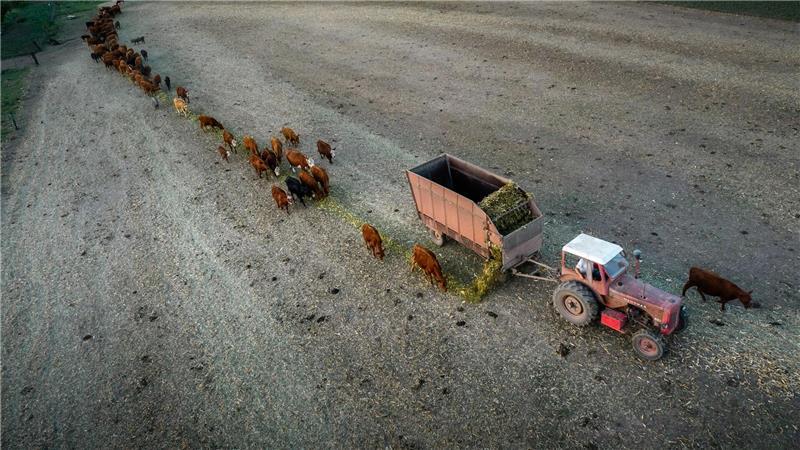 Kommt dieses Jahr ein Super-El-Niño – und was heißt das? Anfang Februar 2023 trug La Niña zu einer verheerenden Dürre in Argentinien bei. (Archivbild)