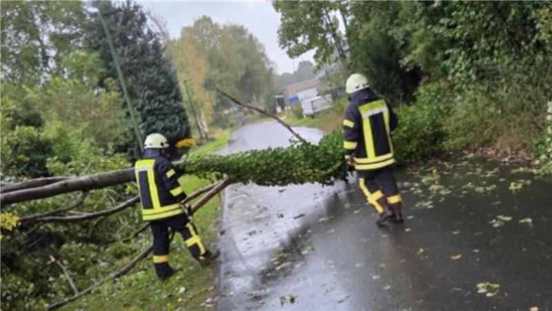 Anfang Oktober war in Helmste bei einem Sturm ein Baum auf die Straße gestürzt.