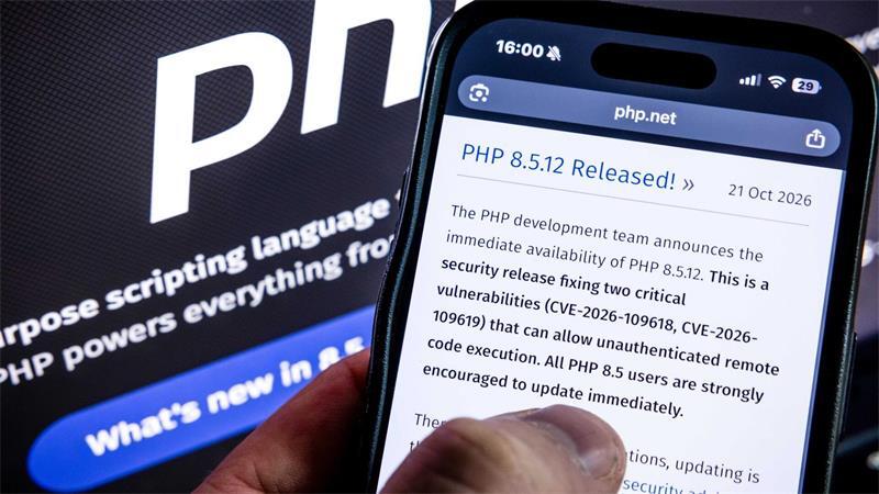 Angreifbare Webseiten sollten nach Ansicht eines Experten sofort abgeschaltet werden. 