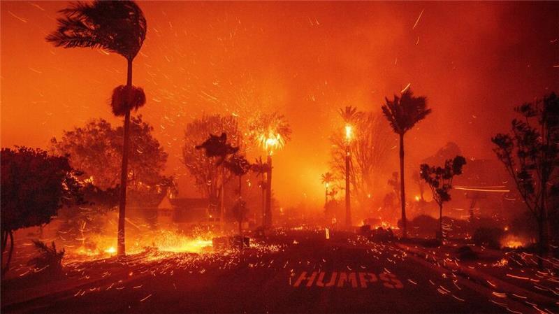 Report: Erderwärmung lag 2024 im Schnitt bei 1,6 Grad Anhaltende Trockenperioden in mehreren Regionen begünstigten Waldbrände, schreibt Copernicus, und verweist besonders auf Amerika.