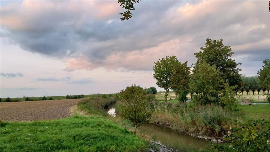 Anja hat eine "Abendrunde" in Freiburg gedreht.