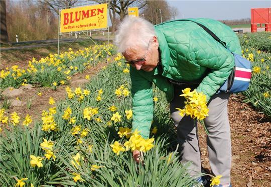 Annerose Max gehört zu den Stammkunden auf dem Narzissenfeld in Apensen.
