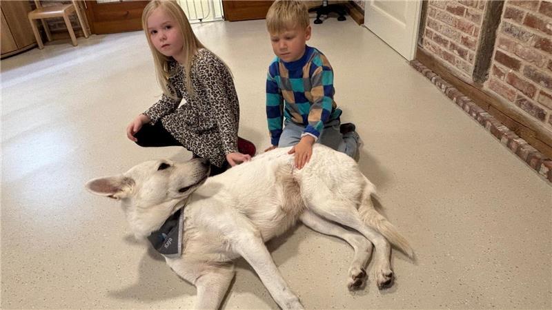 Anni und Henry streicheln den Kita-Hund Kaya. Die Kinder lernen, an welchen Körperteilen Hunde sich gerne streicheln lassen.