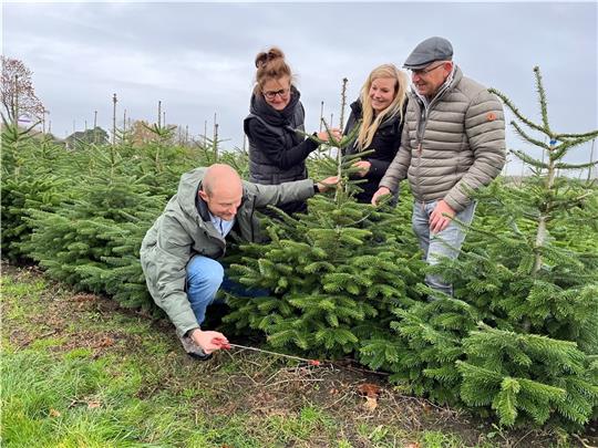 Ansägen: Bislang setzten sie vor allem auf Äpfel und Erdbeeren, jetzt baut Familie Cohrs auch Weihnachtsbäume an. Sohn Jonas setzt die Säge an, Heike, Anna und Werner Cohrs schauen zu. Foto: Vasel