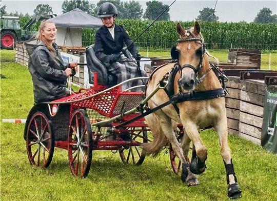 Anton Brinkmann zeigt mit dem von seiner Familie selbst gezogenen Haflinger Anton vor der Kutsche ein Schaubild. Hinten sitzt Trainerin Rebecca Poppe.