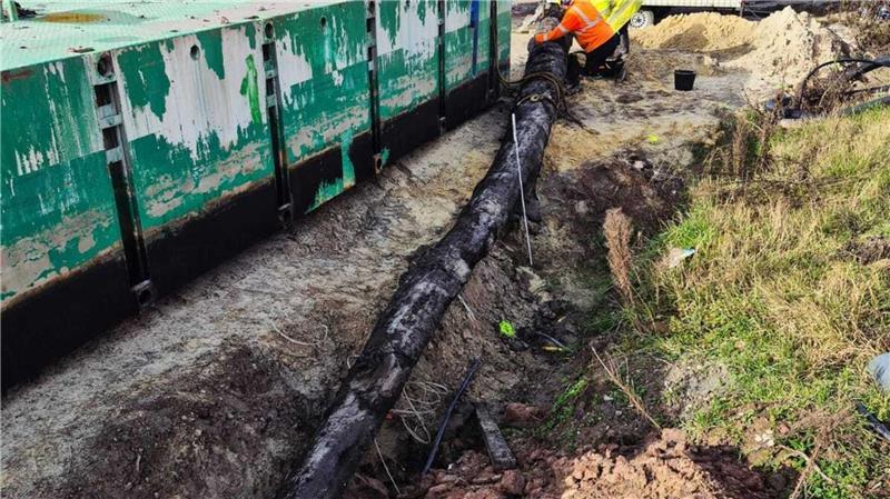 Arbeiter bargen den Stamm mit einem Seilbagger. 