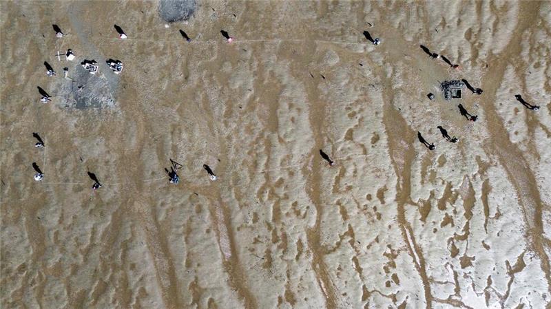Archäologen arbeiten nicht nur an Land. Hier im Wattenmeer vor Nordstrand. (Archivbild).