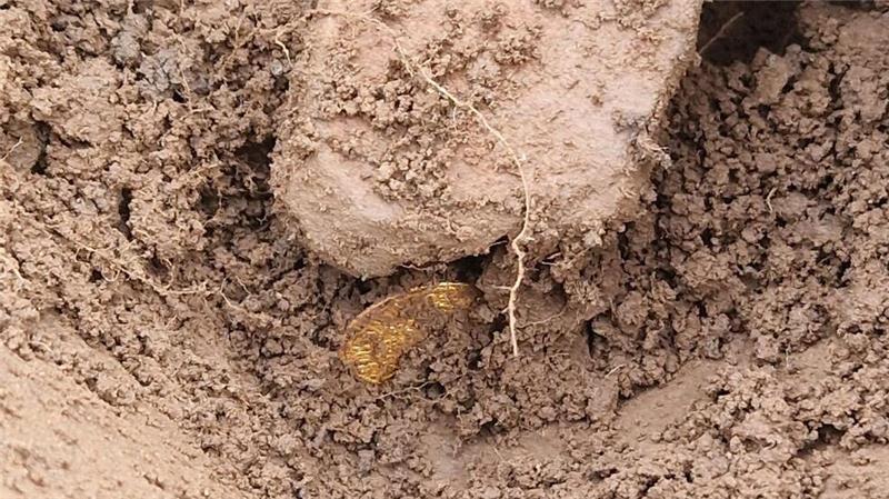 Metallsucher finden Münzschatz in Schottland Archäologen entdeckten danach weitere Münzen an der Fundstelle. (Handout)