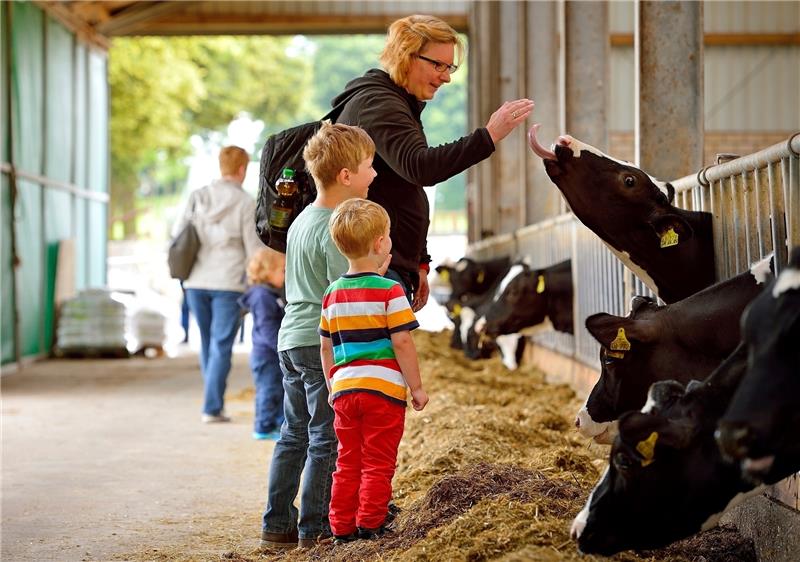 Arla Hoffest im Milchviehbetrieb Familie Driessen - Milchbauern für Arla Foto arlafoods/Albrecht