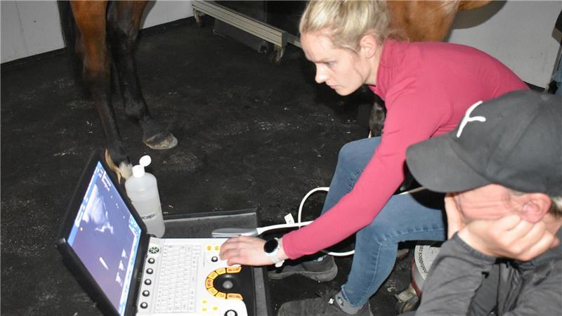 Assistenzärztin Flora Reemtsma führt die Ultraschalluntersuchung an dem Wallach durch.