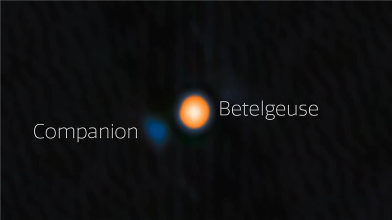 Rätsel um Stern Beteigeuze nach langer Suche wohl gelöst Astronomen haben wahrscheinlich einen Begleitstern von Beteigeuze (englisch: Betelgeuse) entdeckt. Der Begleitstern erscheint hier blau.