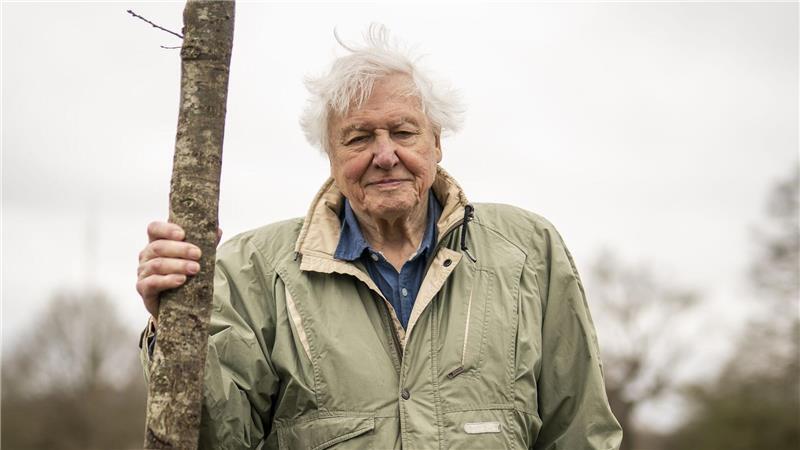 Attenborough wird heute 100 Jahre alt. (Archivbild)