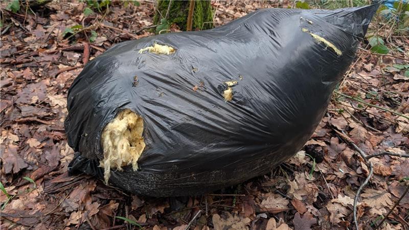 Auch Bauschutt wurde im Wald entsorgt.