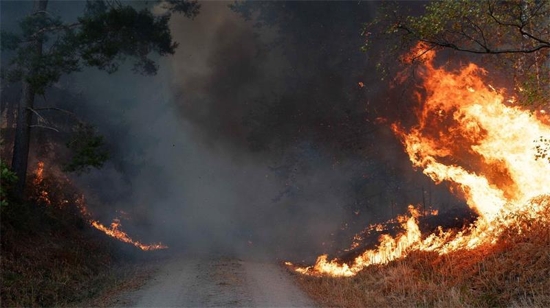 Erde steuert laut UN auf 2,8 Grad Erwärmung zu Auch Deutschland hat in diesem Sommer verheerende Waldbrände erlebt – wie hier im Hürtgenwald in Nordrhein-Westfalen.