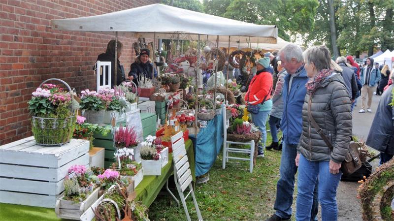 Frischer Saft und alte Sorten: Das bietet der Apfeltag in Ahlerstedt Auch Gartenfreunde kommen beim Ahlerstedter Apfeltag auf ihre Kosten.