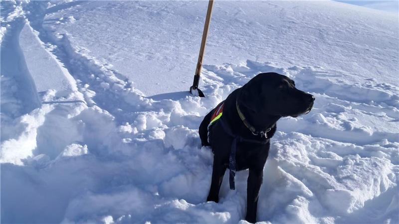 Auch Hunde waren nach dem Lawinenabgang am Finsterkopf im Einsatz. 
