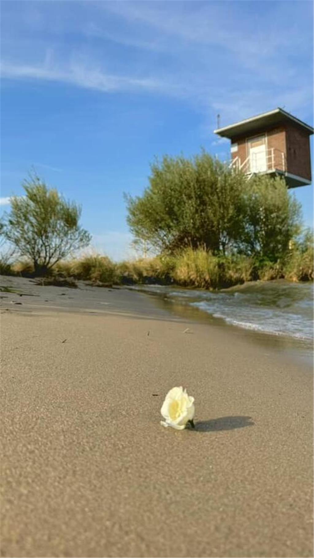 Auch Katrin war auf Krautsand unterwegs.