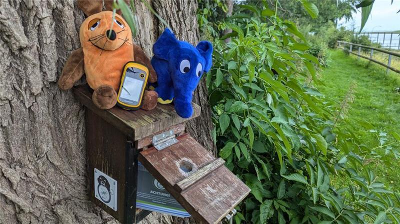 Auch Maus und Elefant sind dabei: Mit GPS-Geräten geht es durch den Park auf der Suche nach versteckten Schätzen.