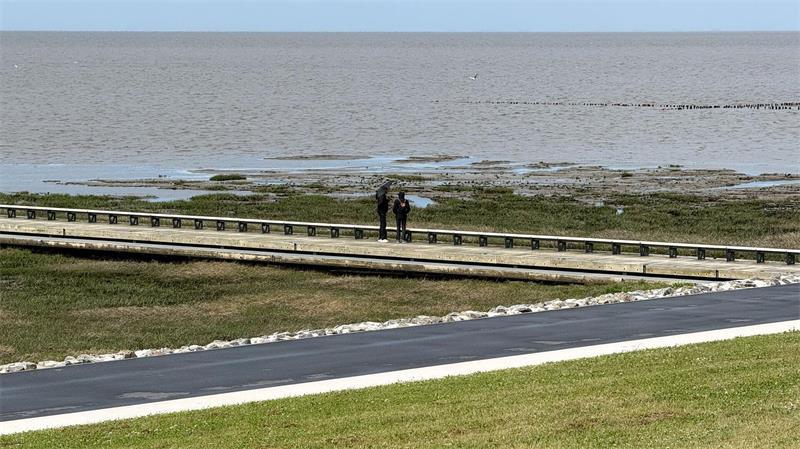 Neuer Klimadeich und Badestrand in Friedrichskoog Auch Stege ins Watt wurde errichtet (Archivbild).