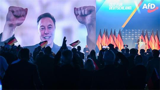 Auch Tech-Milliardär Elon Musk gratulierte der AfD. (Archivbild)