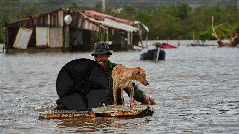 Hurrikan „Melissa“ wütet in der Karibik – mehr als 30 Tote Auch Tiere wurden in Mitleidenschaft gezogen.