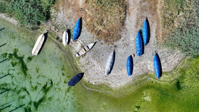 Dürres Deutschland: Wieso es derzeit so trocken ist Auch am Bodensee lagen schon vor Wochen Boote auf dem Trockenen.