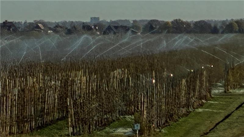 Auch am Wochenende liefen Frostschutzberegnungsanlagen auf den Apfelplantagen im Alten Land.