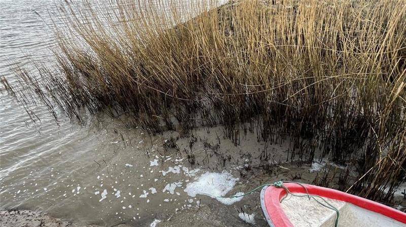 Rätselhafter Schaum auf Elbe ruft Umweltexperten auf den Plan Auch bei Ebbe waren Schaumreste noch zu sehen - etwa am Lühesand-Fähranleger in Sandhörn.