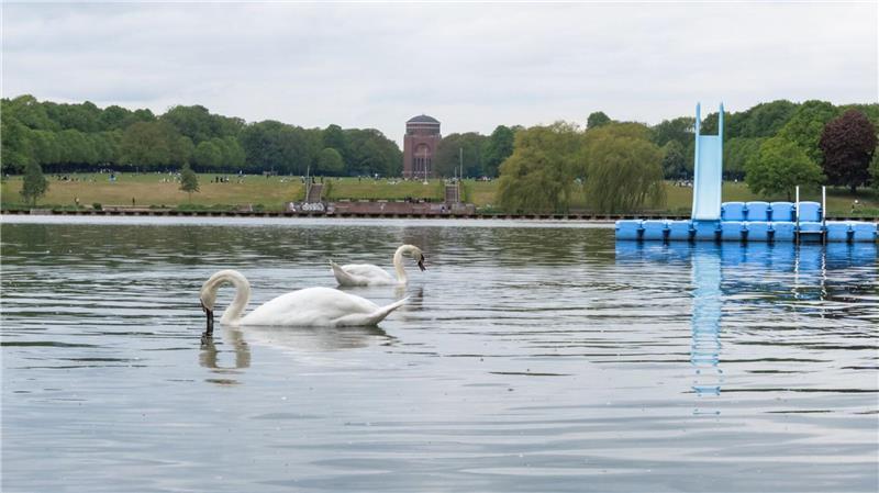 EU-Untersuchung: Hamburger Badegewässer durchweg gut Auch das Freibad Stadtparksee hat laut Untersuchung eine ausgezeichnete Qualität. (Archivbild)