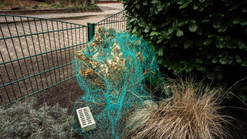 Auch das extra angeschaffte Netz habe den Eindringling nicht davon abgehalten, die Zweige der Hortensien aus dem Garten der Altenwalderin zu entfernen.