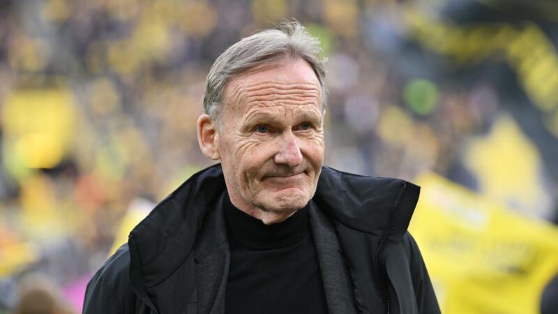 Auch der DFL-Aufsichtsratschef Hans-Joachim Watzke hat sich zum Nike-Deal des DFB geäußert.