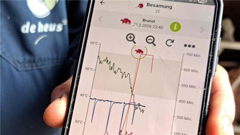 KI-Sensoren im Kuhmagen: So erkennen Landwirte erkennen Krankheiten früher Auch der ideale Zeitpunkt für eine Besamung kann mit Hilfe der erhobenen Daten aus dem Inneren der Kuh errechnet werden.