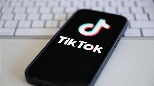 Auch die Grünen sind nun bei Tiktok zu finden.