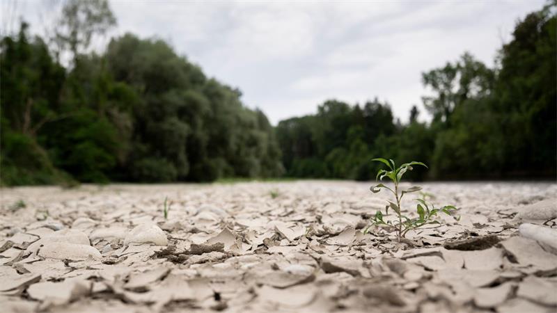 Schneider: Werden ernsthafte Konflikte um Wasser haben Auch die Schweiz hat mit Wassermangel zu kämpfen.