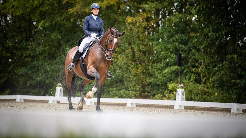 Auch die Teilnehmerin der Olympischen Spiele von London, Anabel Balkenhol, im Pferdedorf Elmlohe wieder dabei sein.