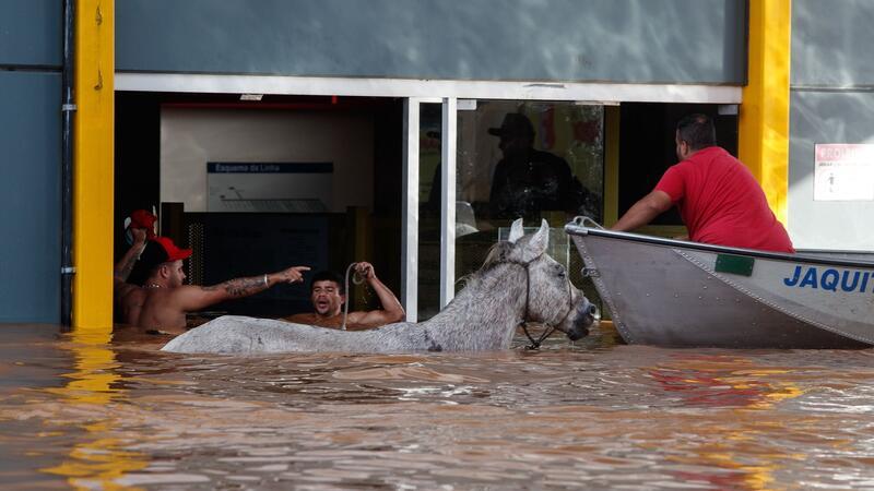 Viele Tote bei Überschwemmungen in Brasilien Auch die Tiere in Scharlau sollen gerettet werden.