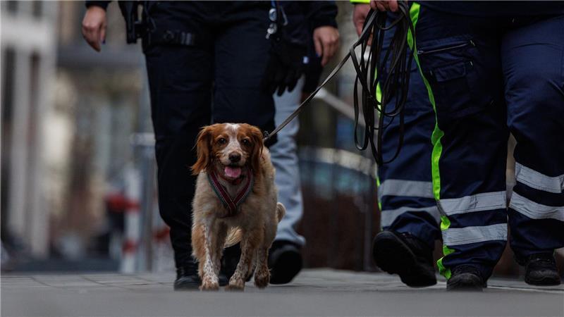 Auch ein Hund war bei der Suche im Einsatz.