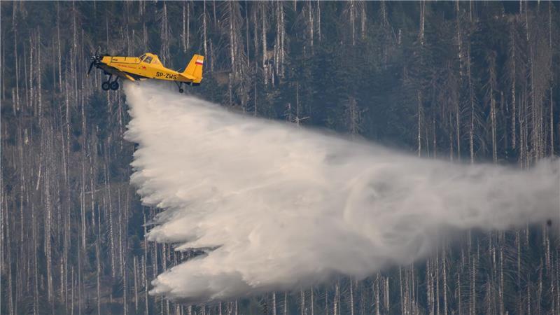 Auch ein Löschflugzeug ist im Einsatz. (Symbolbild)